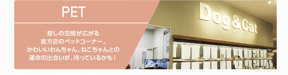 PET｜癒しの空間が広がる直方店のペットコーナー。かわいいわんちゃん、ねこちゃんとの運命の出会いが、待っているかも！