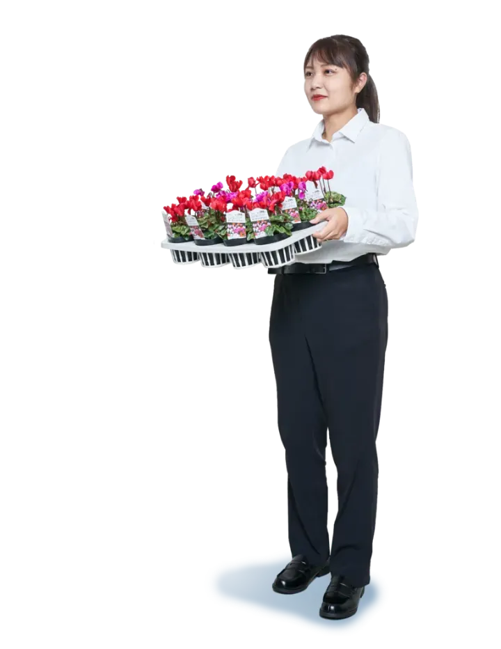 ナフコ社員 立ち絵